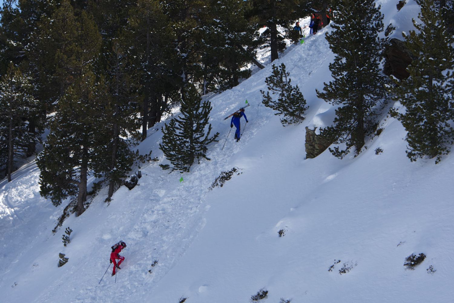 9S4C8409