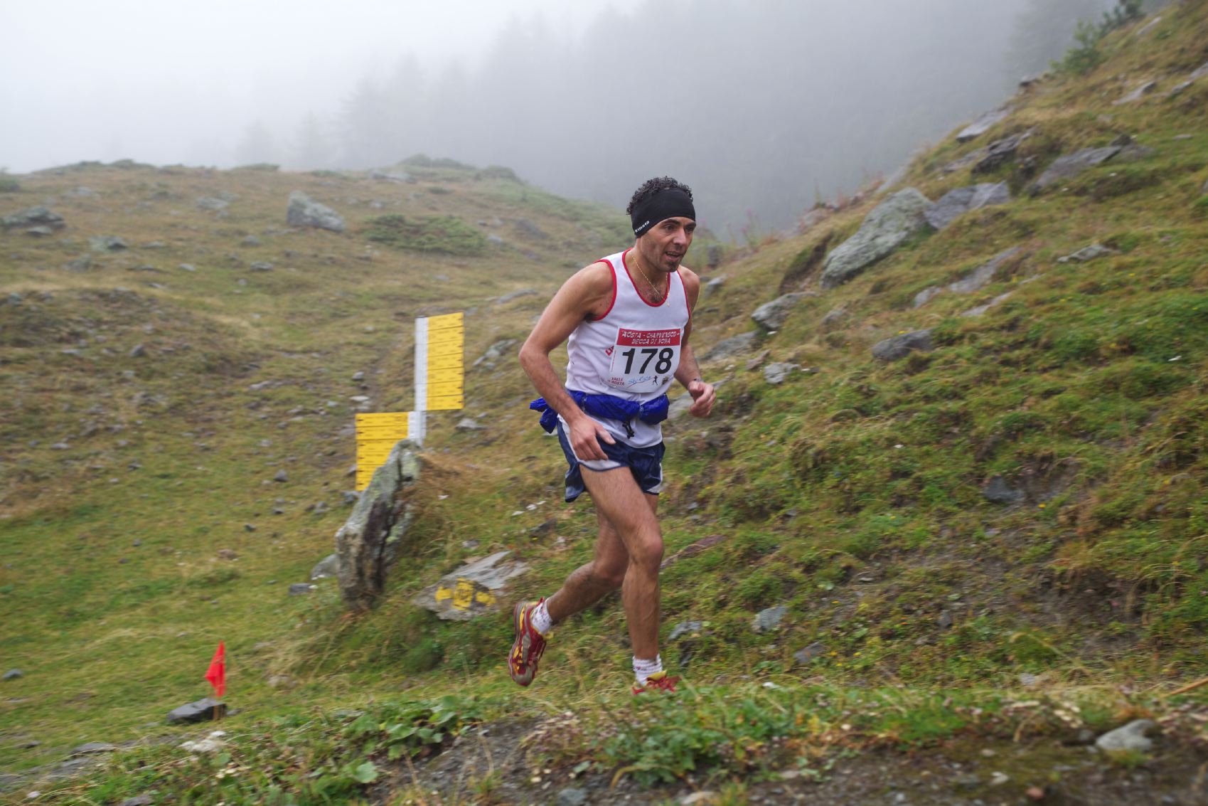 mirko_bertino