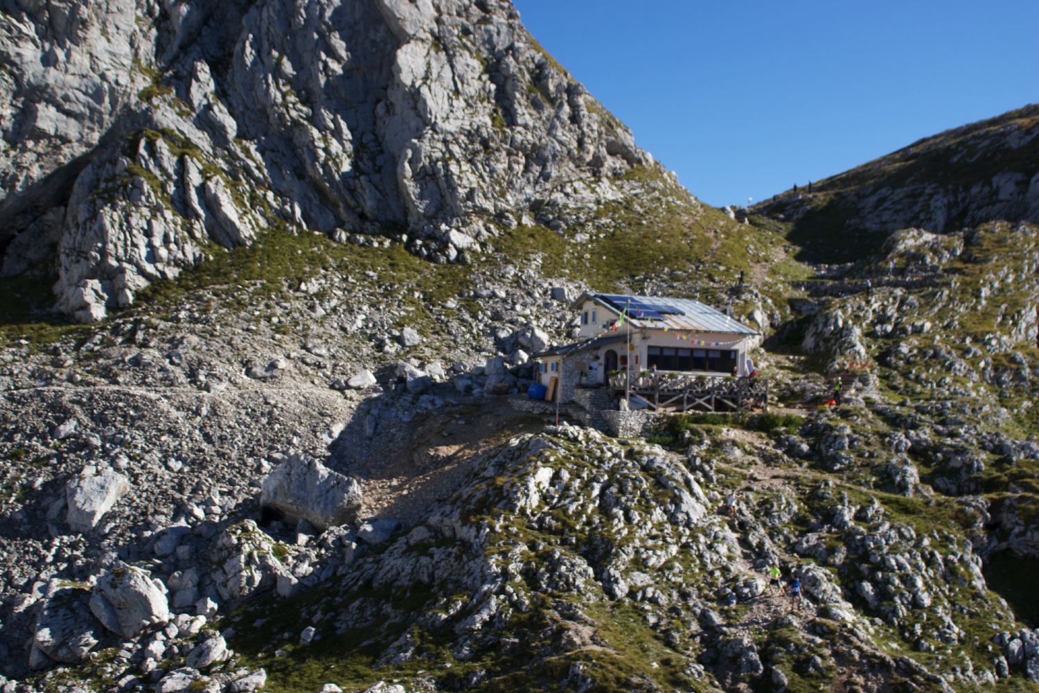 Rif_Semenza