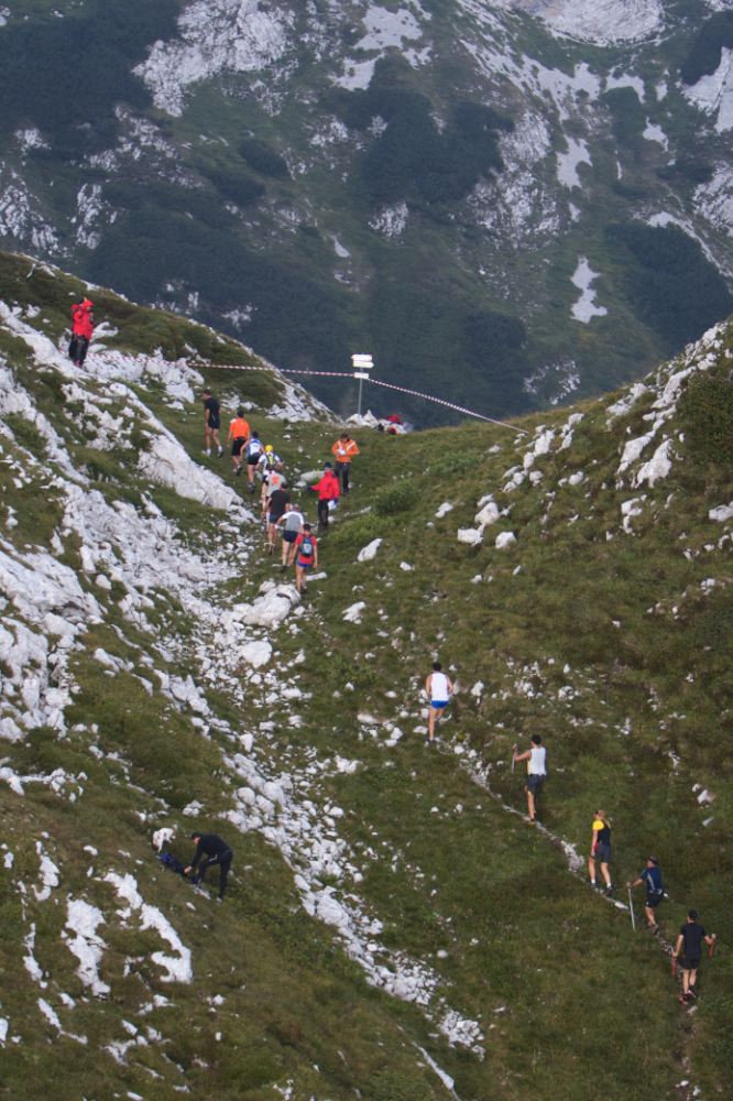 _MG_7520